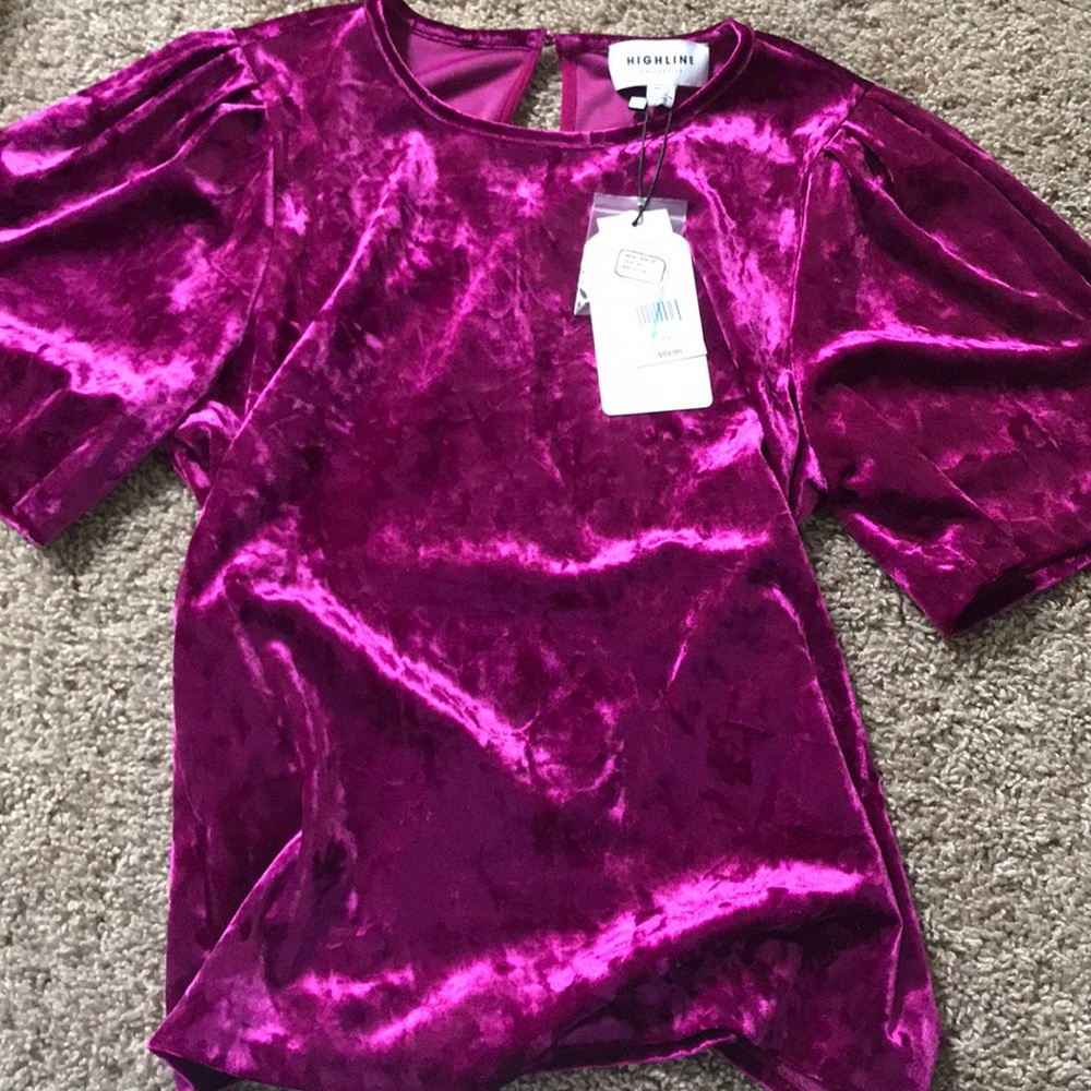 Highline Collective fuscia velvet top